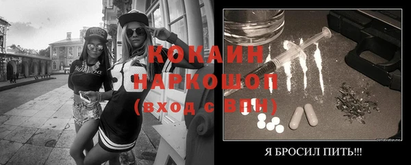 молекула духа Богородицк