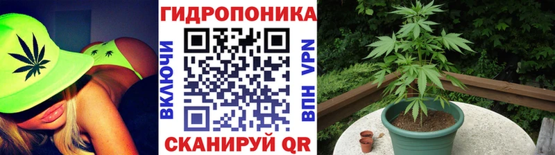 Марихуана AK-47  Тихвин 